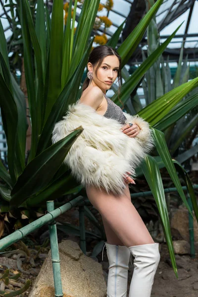 Сексуальна молода жінка в штучному шубці і нижній білизні біля рослин в оранжереї — стокове фото
