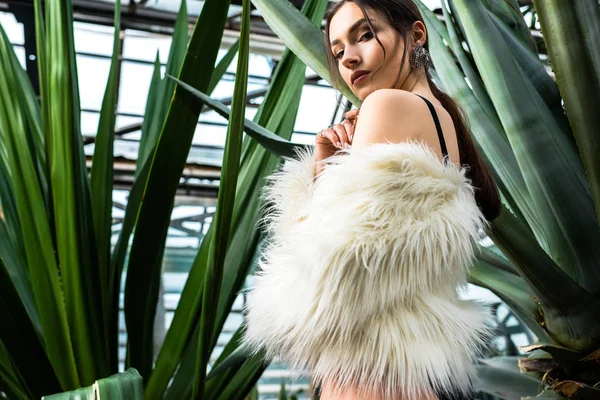 Sexy joven mujer en abrigo de piel sintética y ropa interior cerca de plantas en naranjería - foto de stock