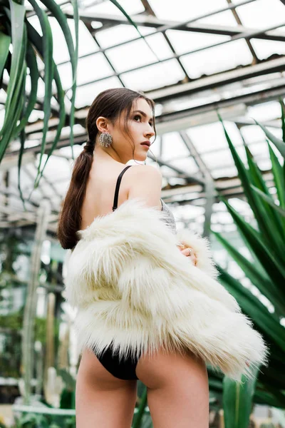 Back view of pensive girl in faux fur coat and underwear looking away on orangery — Stock Photo