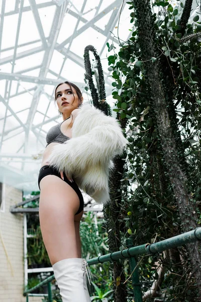 Low angle view of sexy girl in faux fur coat and underwear posing in orangery — Stock Photo