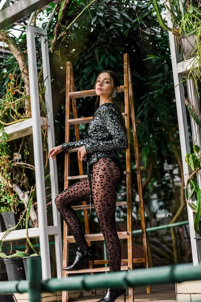 Mulher sexy em meia-calça preta em pé perto de escada de madeira em orangery — Fotografia de Stock