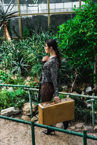 Full length view of sexy woman in pantyhose holding suitcase in orangery — Stock Photo