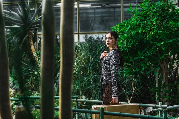 Attractive sexy woman with suitcase looking at camera in orangery — Stock Photo