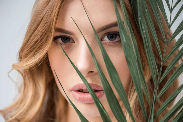 Attractive woman looking at camera through palm leaf on white — Stock Photo