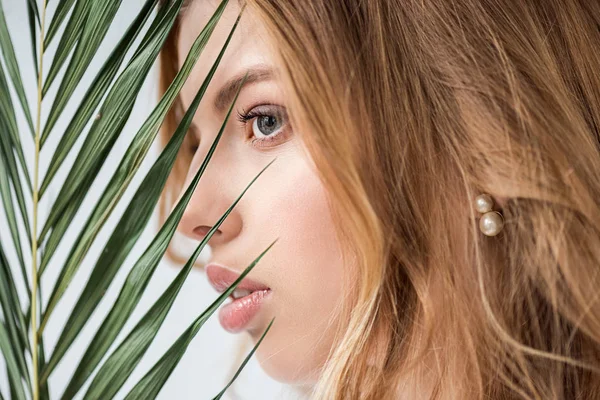 Fille rêveuse et attrayante près de la feuille de palme verte sur blanc — Photo de stock