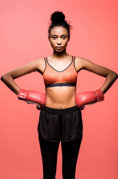 Belle sportive afro-américaine en gants de boxe posant avec les mains akimbo et regardant caméra isolée sur corail — Photo de stock