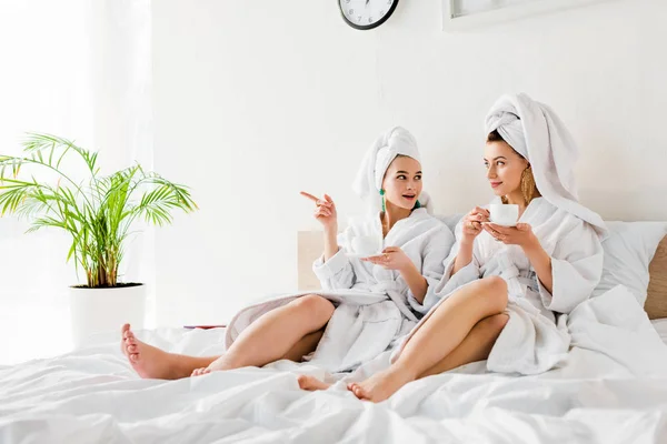 Emotional woman in bathrobe pointing with finger at green plant while talking to friend with coffee cup — Stock Photo