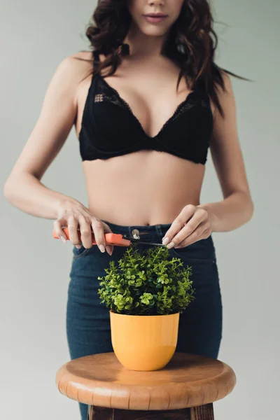 Vue partielle de la femme en soutien-gorge noir usine de découpe avec sécateurs isolés sur gris — Photo de stock