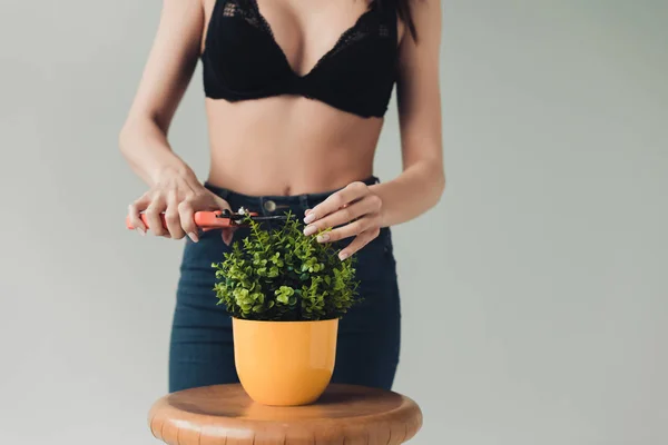 Vista parcial de la mujer en planta de corte sujetador negro con tijeras de podar aisladas en gris - foto de stock