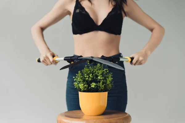 Abgeschnittene Ansicht einer Frau in schwarzem BH, die grüne Pflanze mit großer Schere isoliert auf grau schneidet — Stockfoto