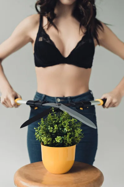 Cropped view of woman in black bra cutting green plant with big scissors isolated on grey — Stock Photo