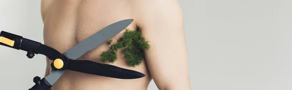 Panoramic shot of man with plant under armpit and big scissors isolated on grey — Stock Photo