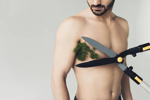 Cropped view of man with plant under armpit and big scissors isolated on grey — Stock Photo