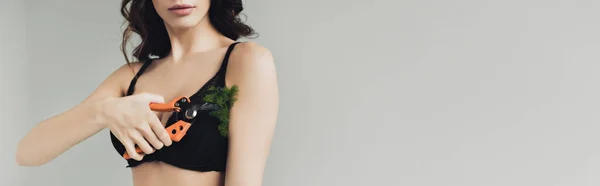 Panoramic shot of woman cutting plant on armpit with secateurs isolated on grey — Stock Photo