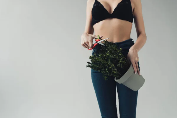 Cropped view of woman in black bra and jeans cutting plant with scissors isolated on grey — Stock Photo