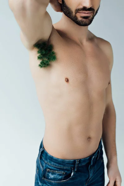 Partial view of bearded man with green plant on armpit on grey — Stock Photo