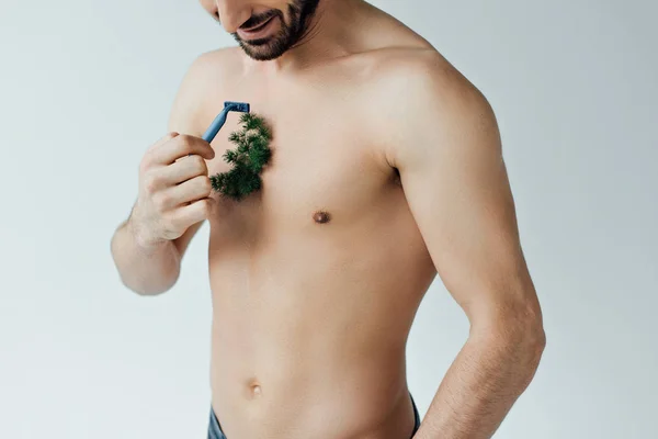 Vue partielle de l'homme barbu rasage plante sur la poitrine isolé sur gris — Photo de stock