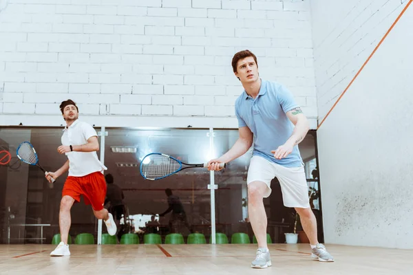 Visão completa de dois desportistas jogando squash com raquetes em quadra de quatro paredes — Fotografia de Stock