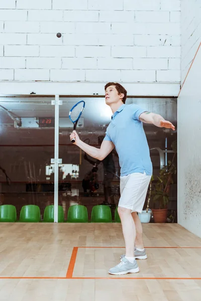 Esportista em camisa de pólo azul jogando squash em quadra de quatro paredes — Fotografia de Stock