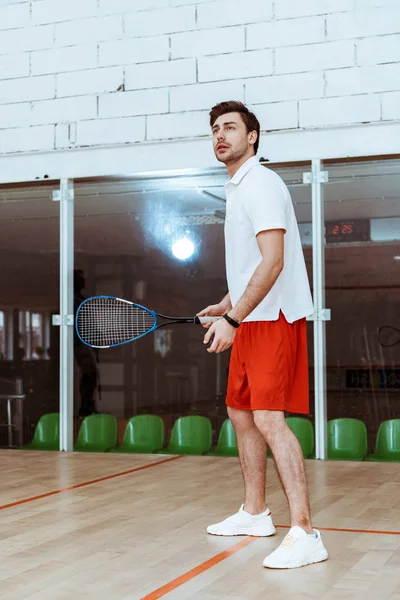 Visão de comprimento total do desportista em shorts vermelhos jogando squash em quadra de quatro paredes — Fotografia de Stock