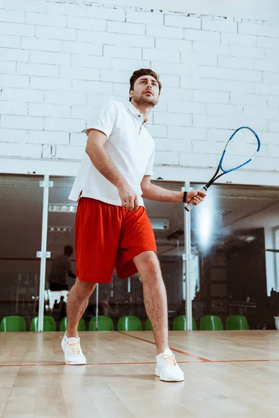 Visão de comprimento total do desportista em camisa de pólo branco jogando squash em quadra de quatro paredes — Fotografia de Stock