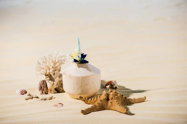 Cocktail de noix de coco, corail, étoiles de mer et pierres de mer sur la plage de sable avec espace de copie — Photo de stock