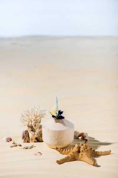 Coconut cocktail, starfish, coral and sea stones on sandy beach with copy space — Stock Photo