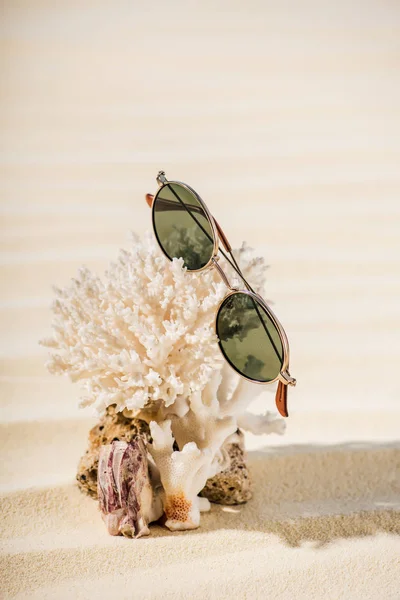 Coral natural con gafas de sol en la playa de arena beige - foto de stock