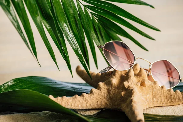 Gafas de sol, estrellas de mar y hojas de palma en la playa de arena - foto de stock