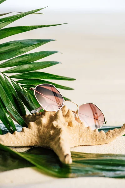 Gafas de sol, hojas de palma y estrellas de mar sobre blanco - foto de stock