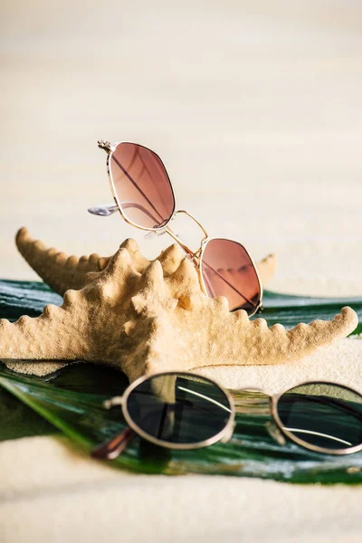 Selektiver Fokus von Sonnenbrille, grünen Blättern und Seesternen am Strand — Stockfoto