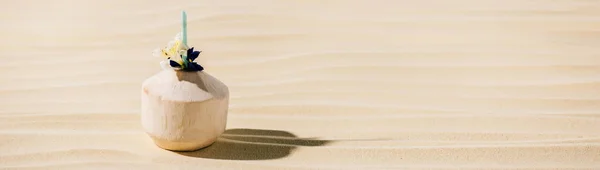 Panoramic shot of coconut cocktail with flower on sandy beach with copy space — Stock Photo