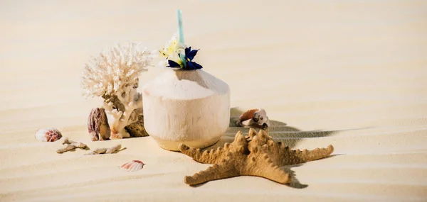 Coconut cocktail, starfish, coral and sea stones on beach — Stock Photo