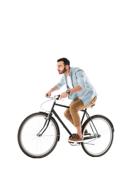 Красивий бородатий чоловік їде на велосипеді і дивиться вперед ізольовано на білому — стокове фото