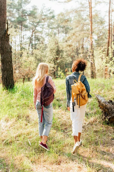 Vue arrière de deux amis multiethniques avec des sacs à dos marchant en forêt — Photo de stock