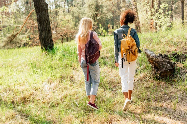 Back view of two multiethnic friends with backpacks walking in forest — Stock Photo