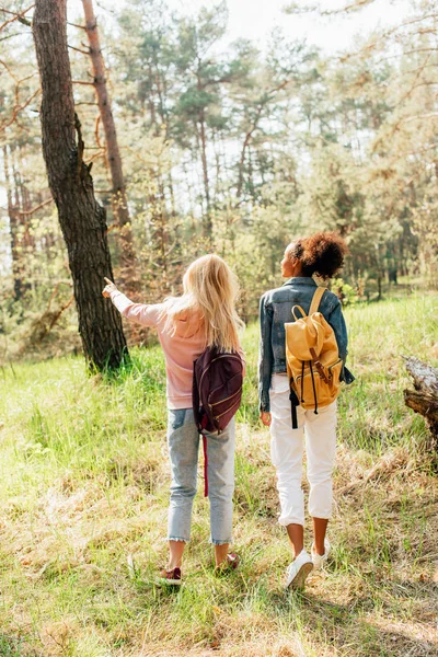 Visão traseira de dois amigos multiétnicos com mochilas andando na floresta — Fotografia de Stock