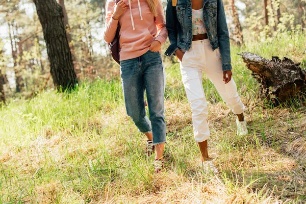 Vista recortada de dos amigos multiétnicos caminando en el bosque - foto de stock