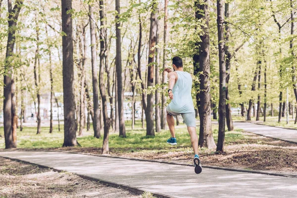 Vista posteriore del giovane in abbigliamento sportivo che si esercita nel verde del parco soleggiato — Foto stock