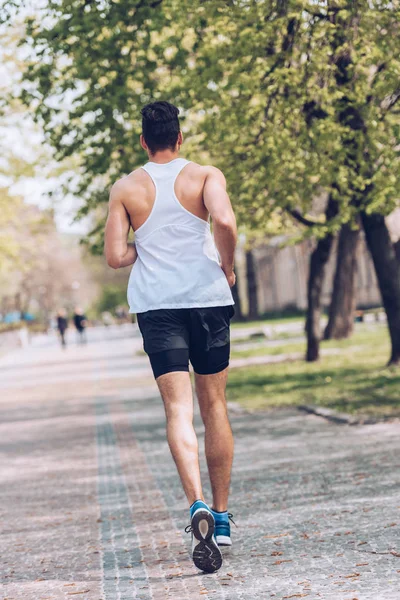 Vue arrière du jeune sportif courant le long d'une large allée dans le parc — Photo de stock