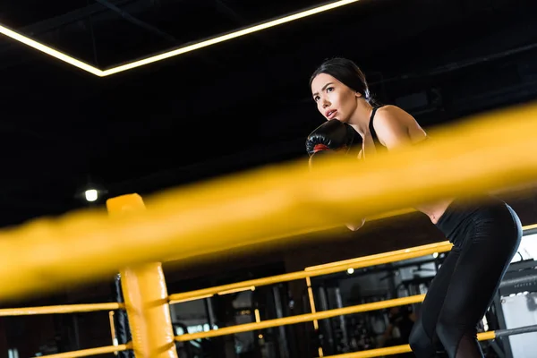Foco seletivo de mulher atlética boxe enquanto está de pé em luvas de boxe no ginásio — Fotografia de Stock