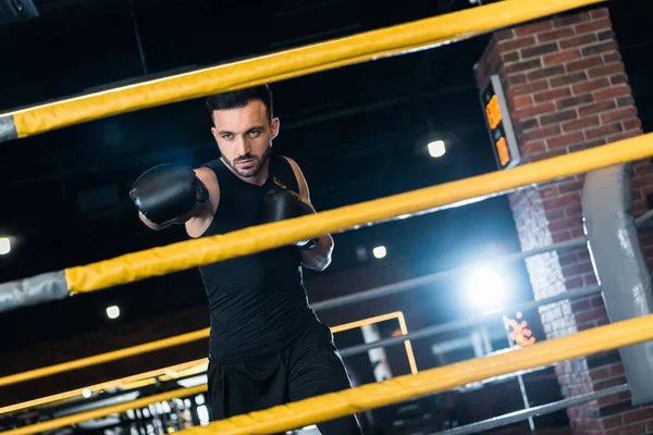 Foco seletivo do homem forte em luvas de boxe trabalhando no ginásio — Fotografia de Stock