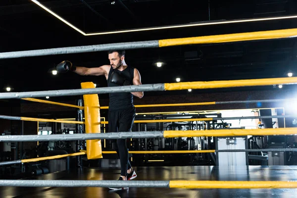 Selective focus of handsome man exercising in boxing gloves while standing in boxing ring — Stock Photo