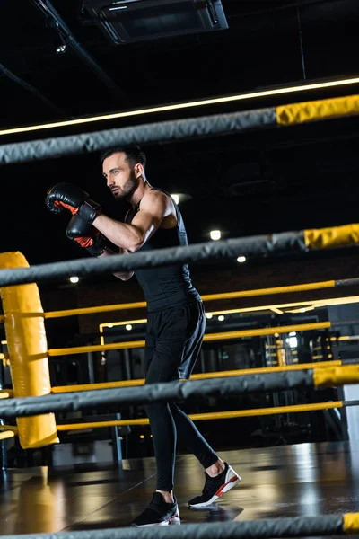 Foco seletivo de homem bonito trabalhando em luvas de boxe enquanto está em pé no ringue de boxe — Fotografia de Stock