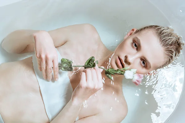 Top view of sexy woman gently holding flower in clear water in bathtub — стоковое фото