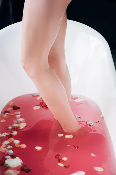 Cropped view of woman standing in white bathtub with pink water and petals isolated on black — Stock Photo