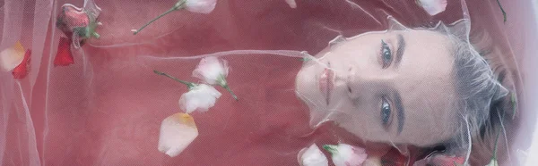 Vista dall'alto di bella donna ricoperta di tessuto a rete bianca in acqua rosa con petali di rosa, colpo panoramico — Foto stock