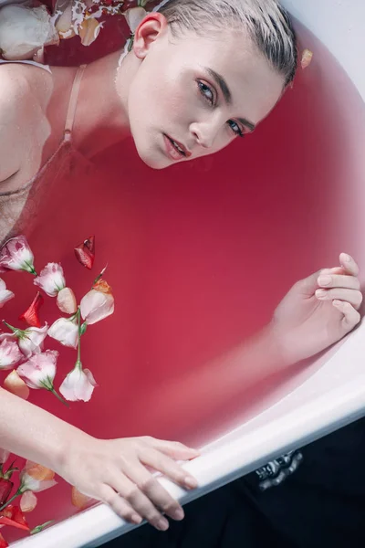 Вид зверху сексуальної жінки у ванні з рожевою водою та пелюстками, що дивиться на камеру ізольовано на чорному — стокове фото