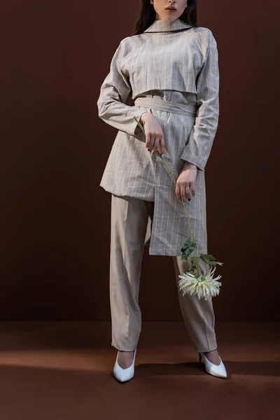 Cropped view of trendy model holding chrysanthemum and standing on brown background — Stock Photo