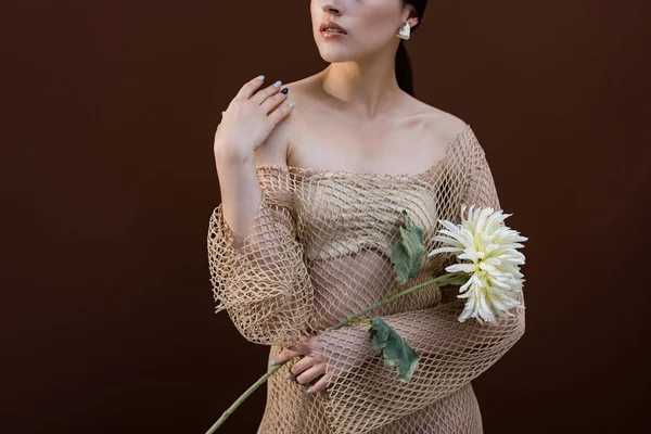 Abgeschnittene Ansicht einer stilvollen Frau mit Blume in den Händen, die im Studio mit braunem Hintergrund steht — Stockfoto